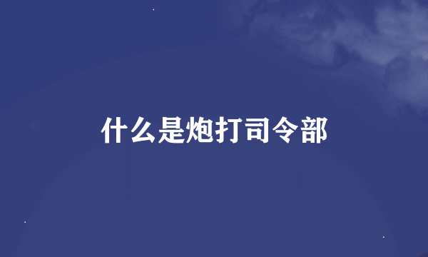 什么是炮打司令部