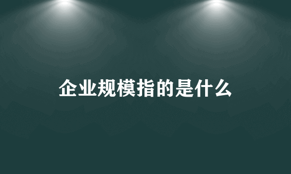 企业规模指的是什么