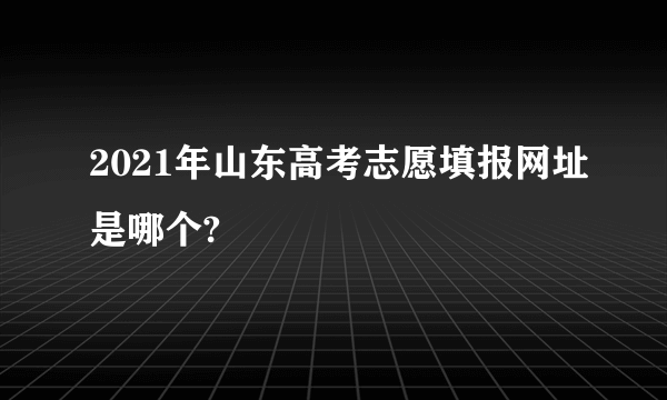 2021年山东高考志愿填报网址是哪个?