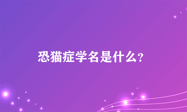 恐猫症学名是什么？