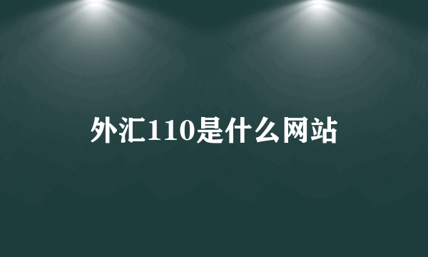 外汇110是什么网站