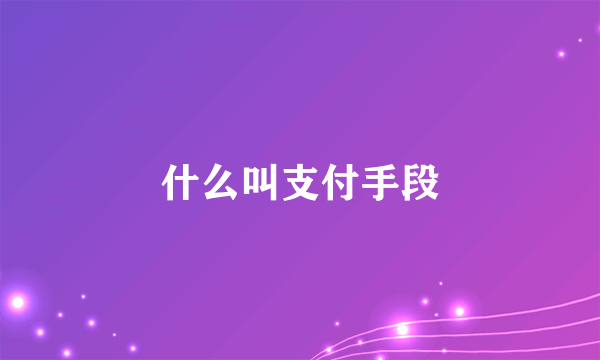 什么叫支付手段