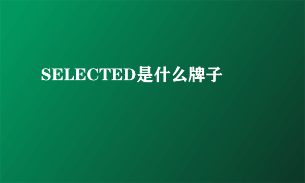 SELECTED是什么牌子