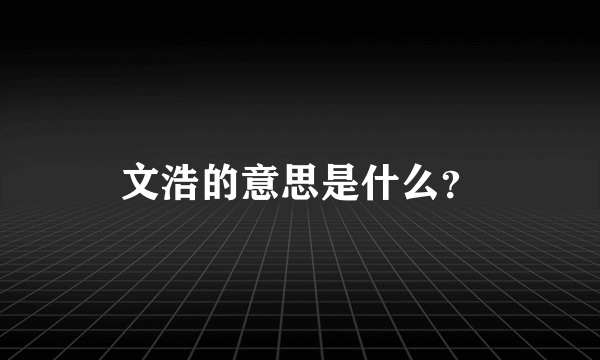 文浩的意思是什么？