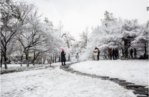 “瑞雪兆丰年”前面一句诗是什么？？？急啊！！