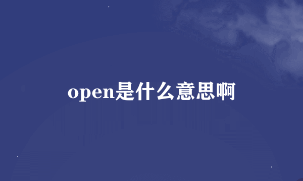 open是什么意思啊