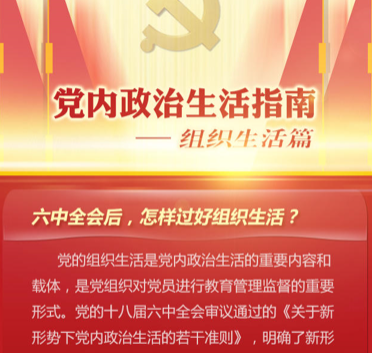 什么是党组织政治功能