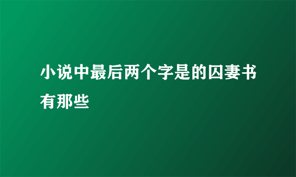 小说中最后两个字是的囚妻书有那些