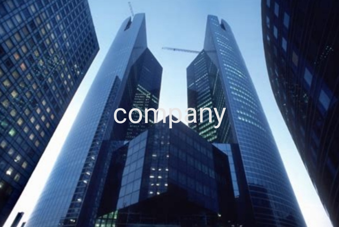 company中文是什么意思