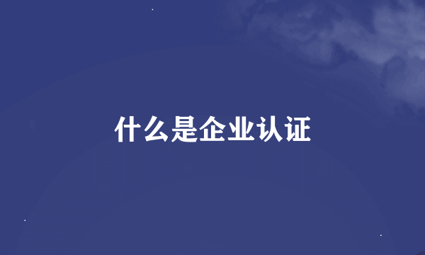 什么是企业认证