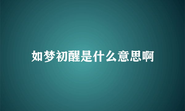 如梦初醒是什么意思啊