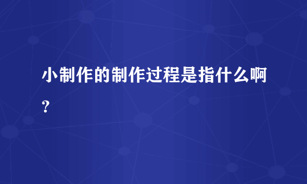 小制作的制作过程是指什么啊？