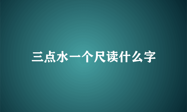 三点水一个尺读什么字