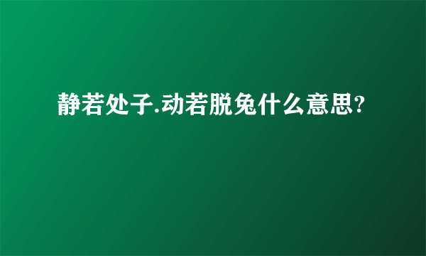 静若处子.动若脱兔什么意思?