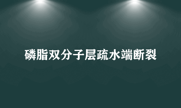 磷脂双分子层疏水端断裂