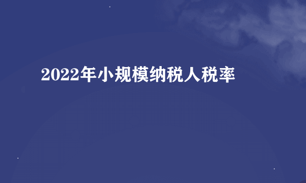 2022年小规模纳税人税率