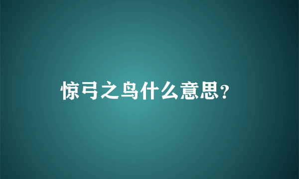 惊弓之鸟什么意思？