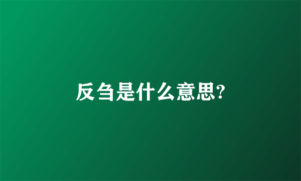 反刍是什么意思?