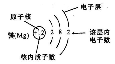 质子数都等于什么