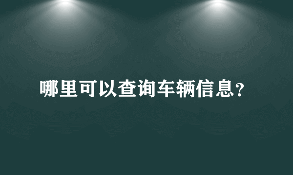 哪里可以查询车辆信息？