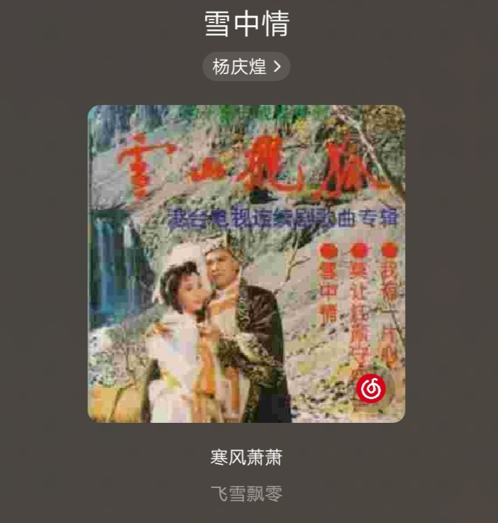 杨庆煌的《雪中情》 歌词