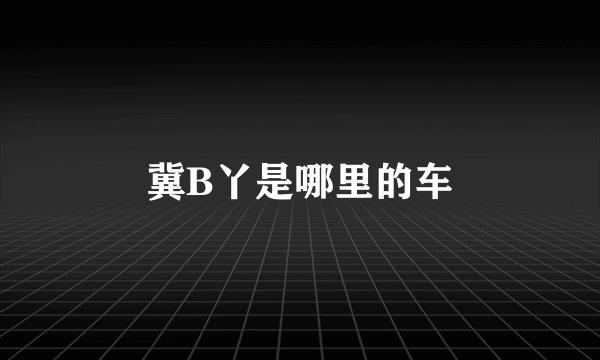 冀B丫是哪里的车