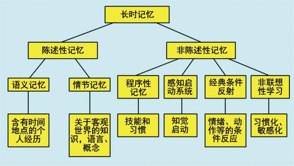 什么是陈述性知识？