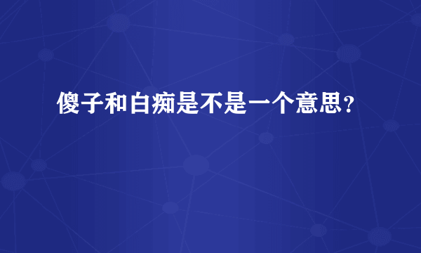 傻子和白痴是不是一个意思？