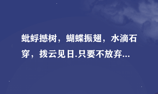 蚍蜉撼树，蝴蝶振翅，水滴石穿，拨云见日.只要不放弃，一切皆有可能是什么意思