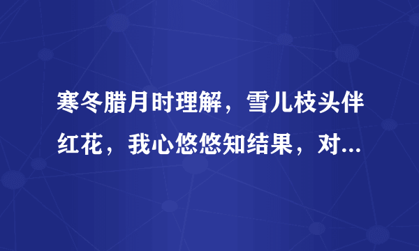 寒冬腊月时理解，雪儿枝头伴红花，我心悠悠知结果，对错人间许离歌？什么意思