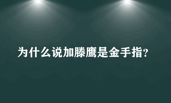 为什么说加滕鹰是金手指？