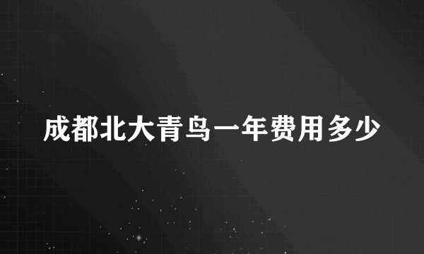 成都北大青鸟一年费用多少