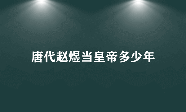 唐代赵煜当皇帝多少年