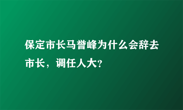 保定市长马誉峰为什么会辞去市长，调任人大？