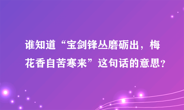 谁知道“宝剑锋丛磨砺出，梅花香自苦寒来”这句话的意思？