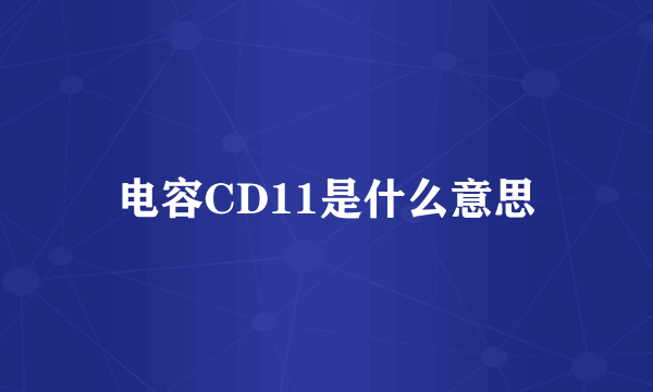 电容CD11是什么意思