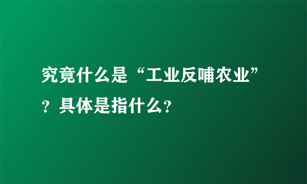 究竟什么是“工业反哺农业”？具体是指什么？