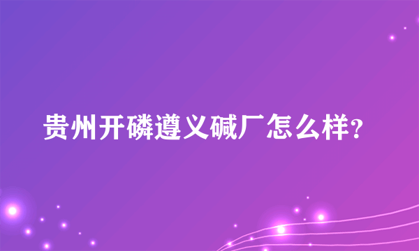 贵州开磷遵义碱厂怎么样？