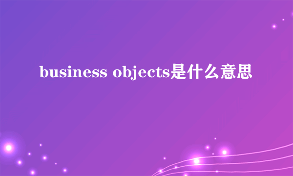 business objects是什么意思