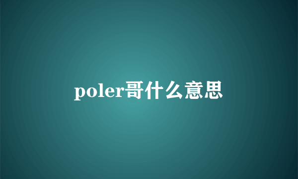 poler哥什么意思