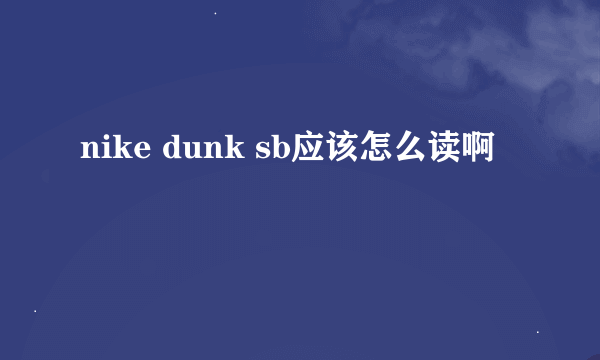 nike dunk sb应该怎么读啊