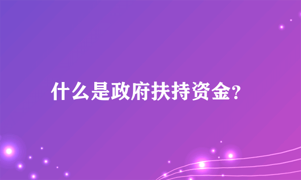 什么是政府扶持资金？