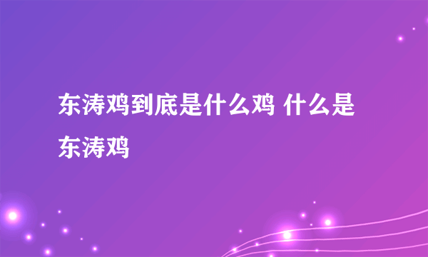 东涛鸡到底是什么鸡 什么是东涛鸡