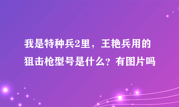 我是特种兵2里，王艳兵用的狙击枪型号是什么？有图片吗