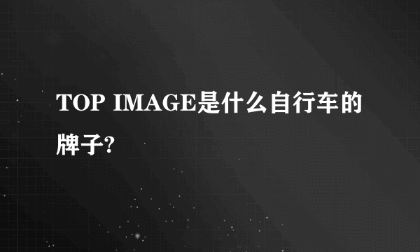 TOP IMAGE是什么自行车的牌子?