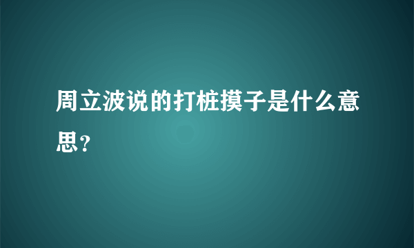 周立波说的打桩摸子是什么意思？