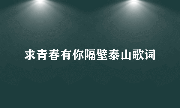 求青春有你隔壁泰山歌词