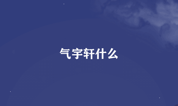 气宇轩什么