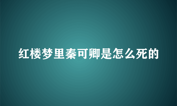 红楼梦里秦可卿是怎么死的