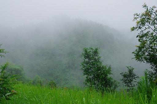 古诗《山雨》全诗是什么？